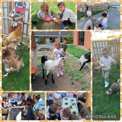 Visite à la ferme