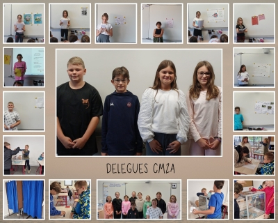 Élections des Délégués de CM !
