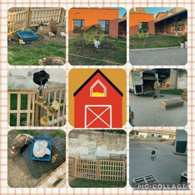 Installation de la ferme à l'école