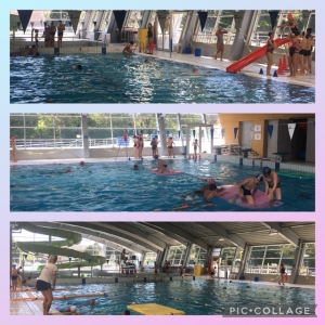 Cycle Natation des CM2