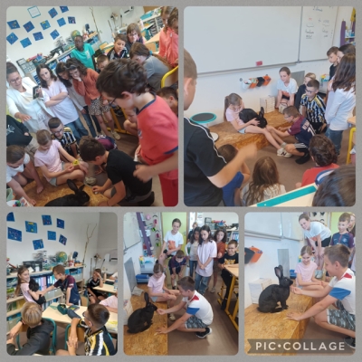Présentation en CM1A