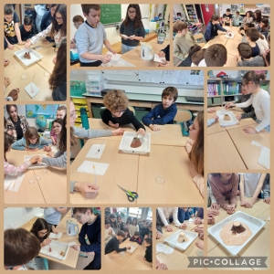 Les sciences en CM2A