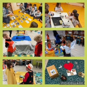 Ateliers E.N.S. sur les oiseaux en GS